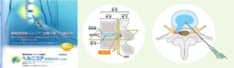 科研製薬　パンフレット